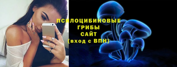 бошки Анива