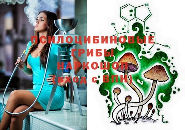 шишки Верхнеуральск