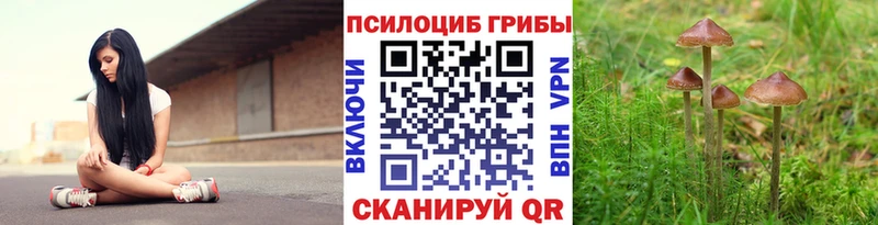дарнет шоп  Гаврилов Посад  Галлюциногенные грибы Magic Shrooms 